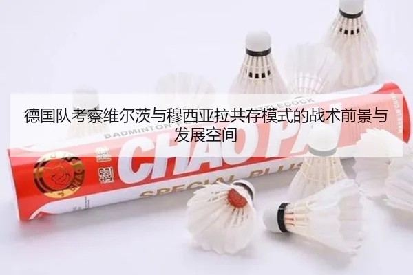 德国队考察维尔茨与穆西亚拉共存模式的战术前景与发展空间